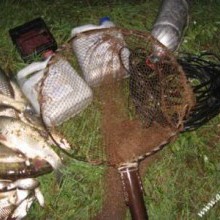 Попередження браконьєрства у період нересту риби Попередження браконьєрства у період нересту риби
