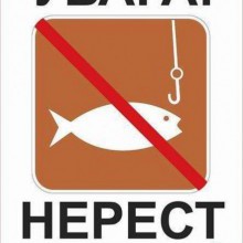 Збережемо рибні запаси під час нересту